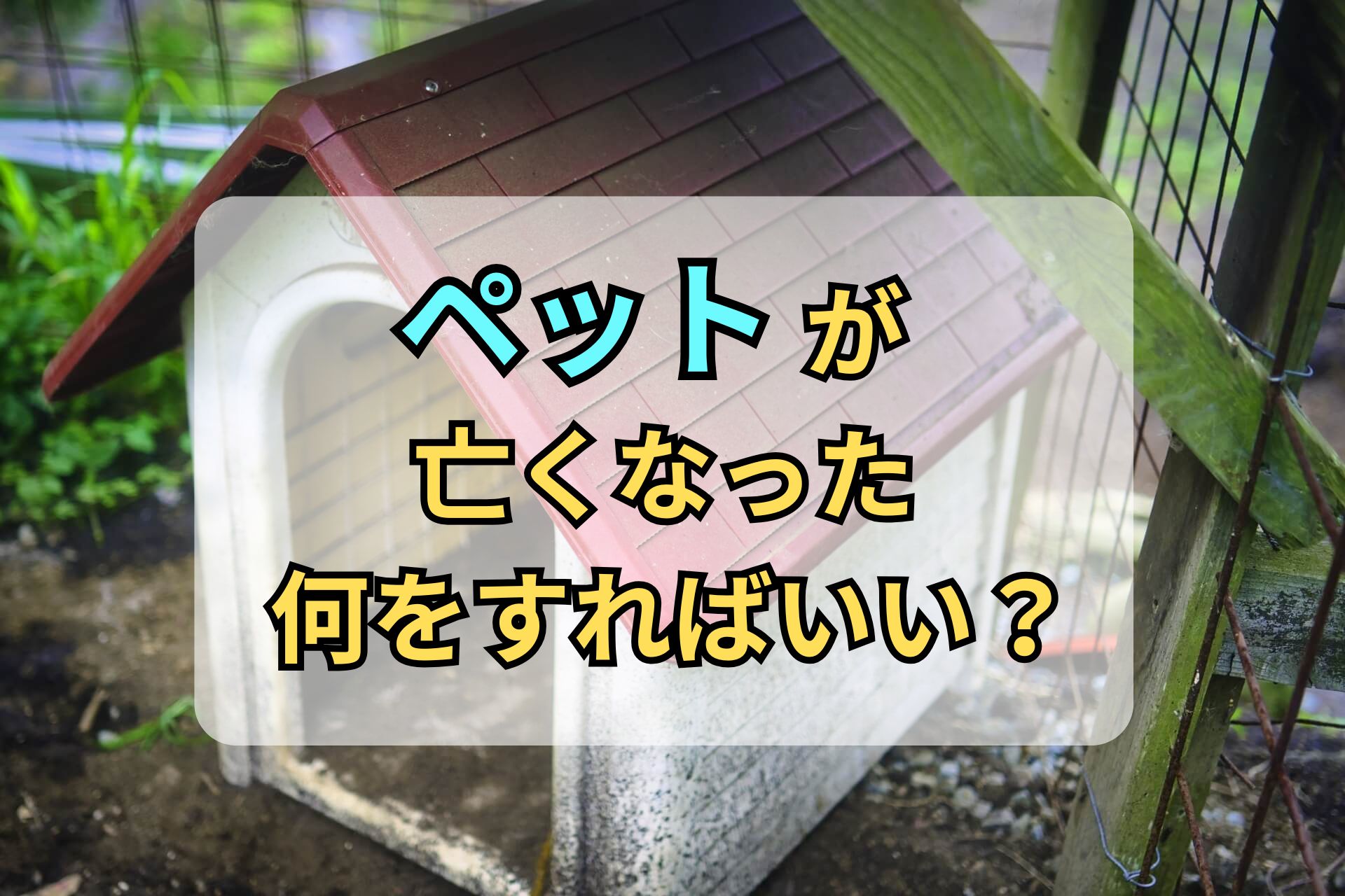 ペットが亡くなった何をすればいい？