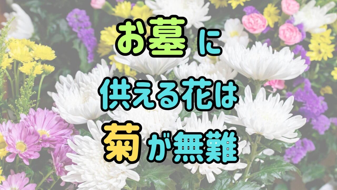 お墓に供える花は菊が無難