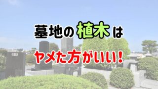 「墓地の植木はヤメた方がいい！」という文字の背景にある墓地