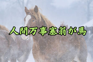 人間万事塞翁が馬