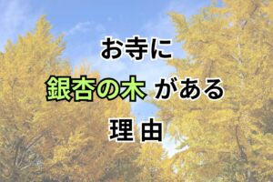 お寺に銀杏の木がある理由